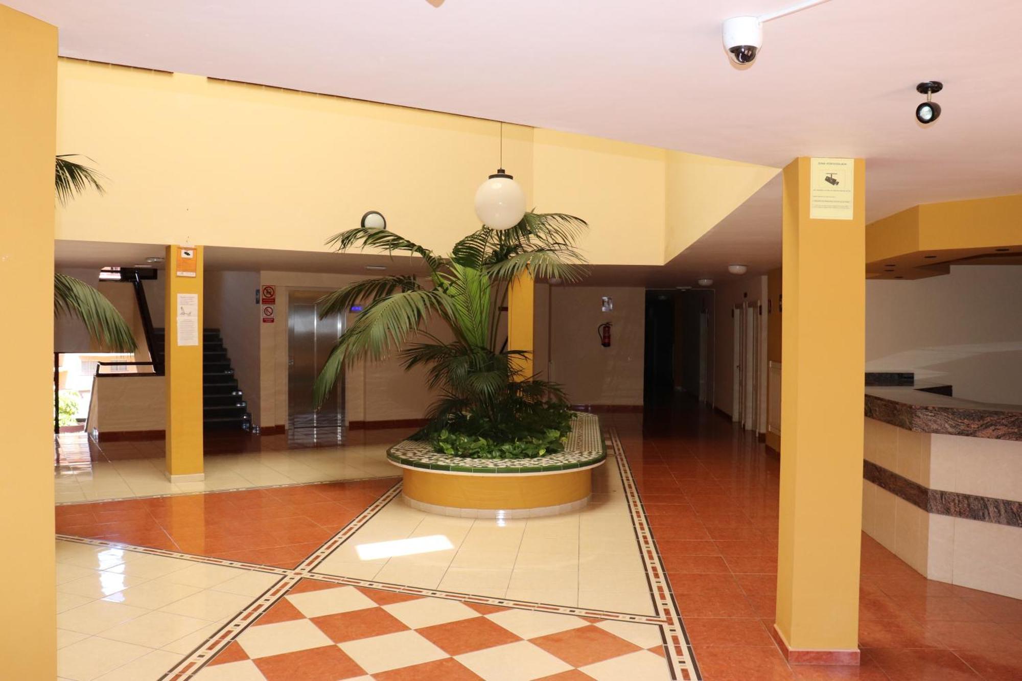 Estupendo Apartamento Puerto de Santiago  Eksteriør billede